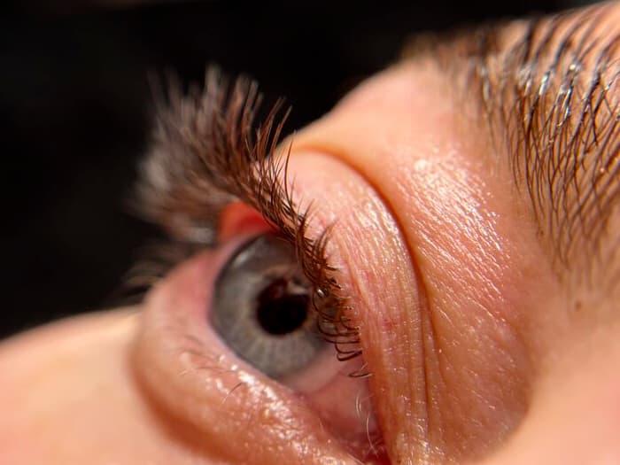 Lash Extensions